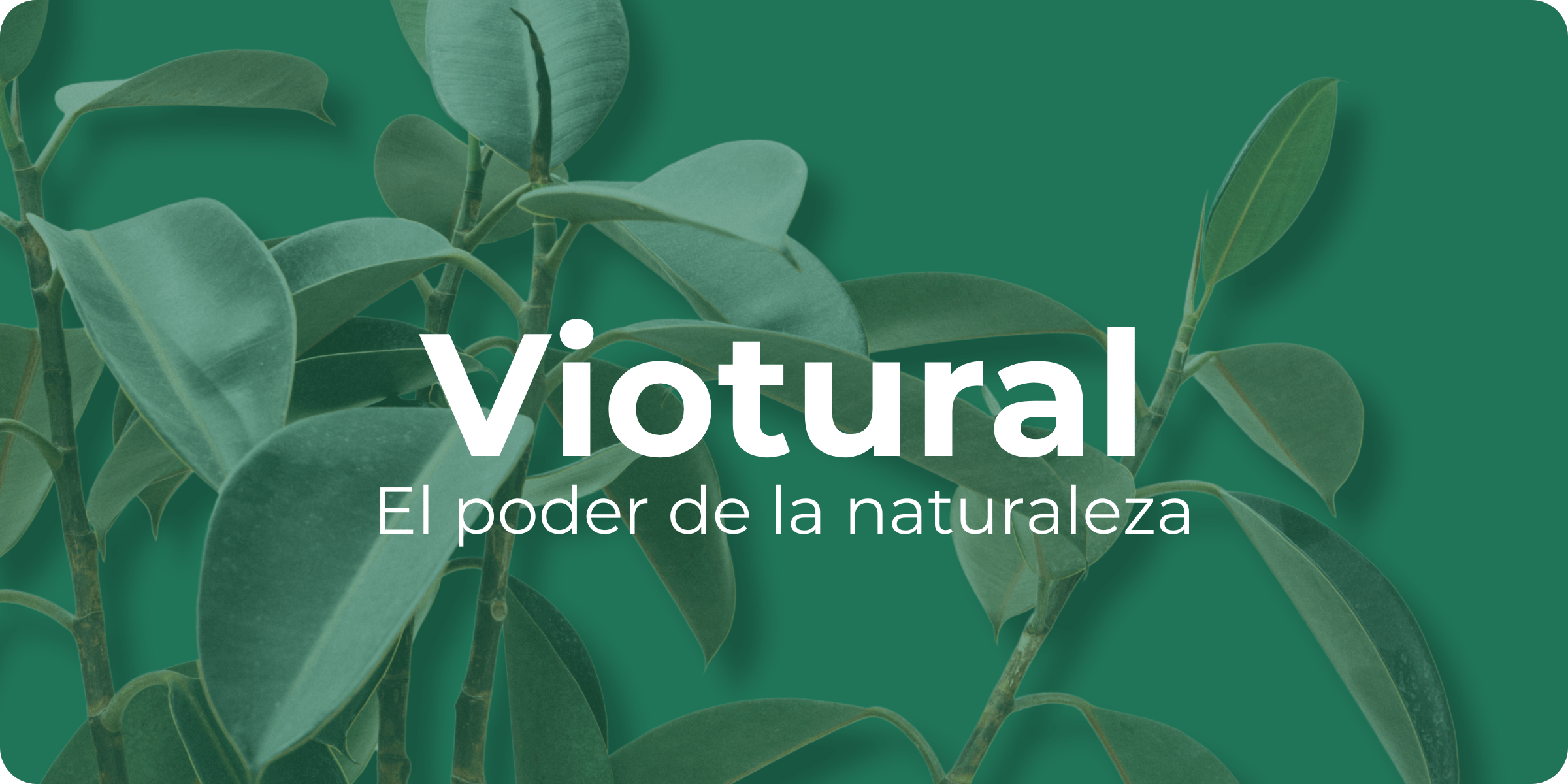 Viotural - Biobo Labs